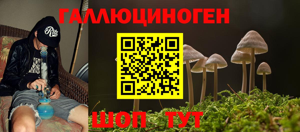 Псилоцибиновые грибы мицелий Сарапул
