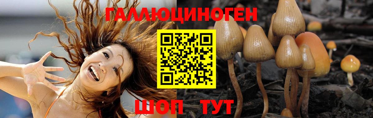 Галлюциногенные грибы Psilocybine cubensis  Вход с VPN  Сарапул  Псилоцибиновые грибы Psilocybine cubensis 